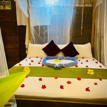Coconut Island Yala Safari Place Тисамахарама Екстериор снимка