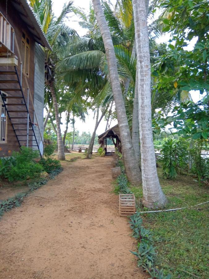 Coconut Island Yala Safari Place Тисамахарама Екстериор снимка