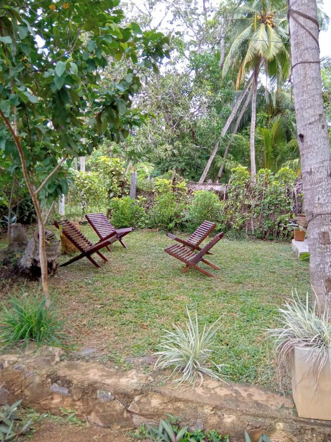 Coconut Island Yala Safari Place Тисамахарама Екстериор снимка