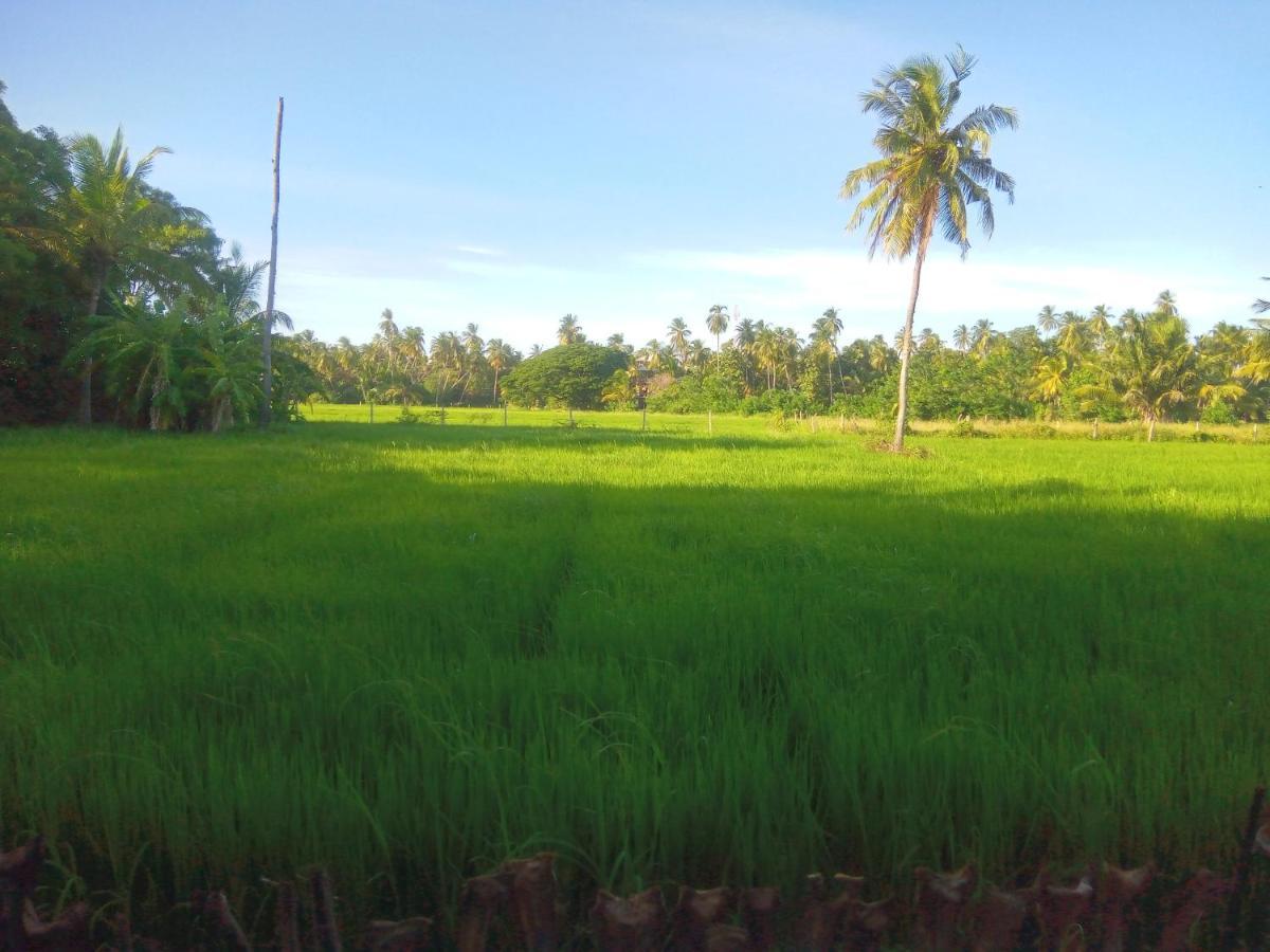 Coconut Island Yala Safari Place Тисамахарама Екстериор снимка