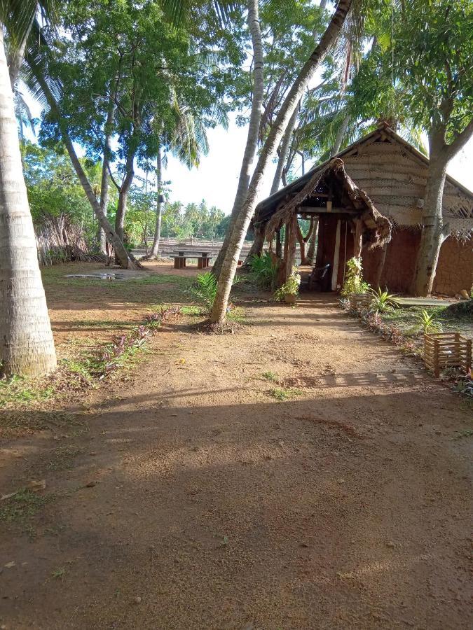 Coconut Island Yala Safari Place Тисамахарама Екстериор снимка