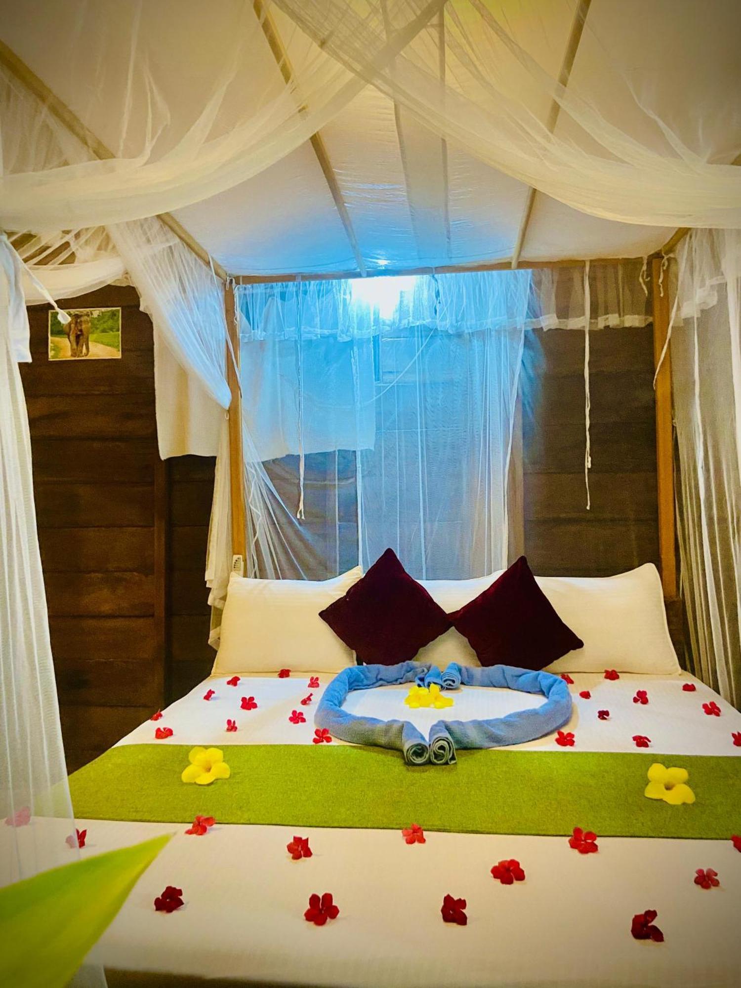Coconut Island Yala Safari Place Тисамахарама Екстериор снимка