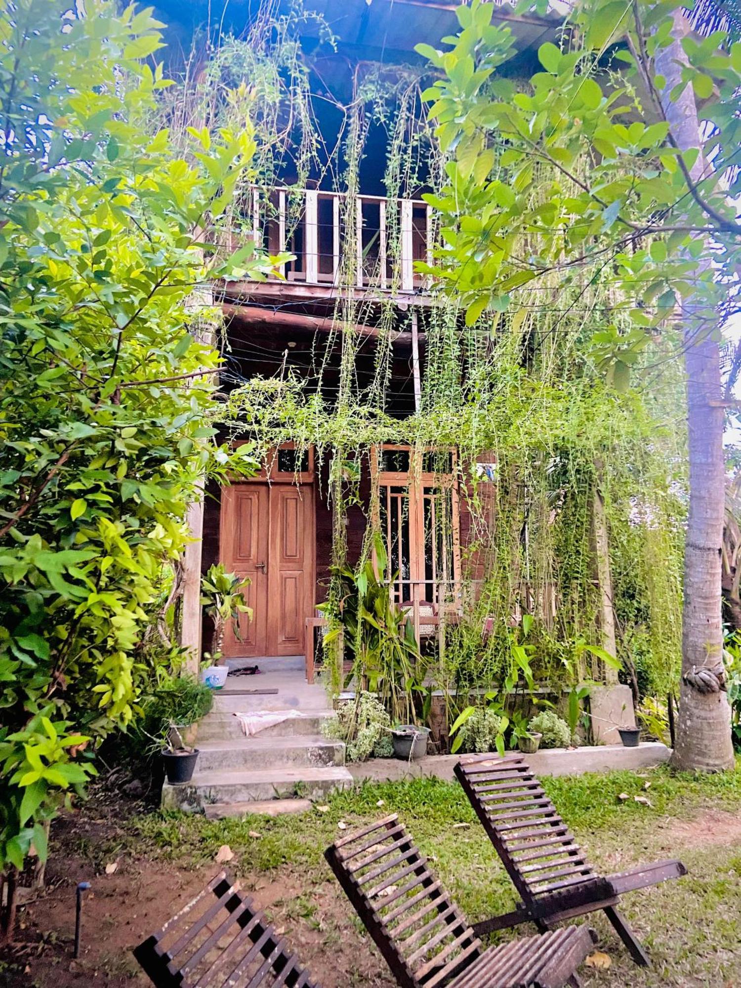 Coconut Island Yala Safari Place Тисамахарама Екстериор снимка