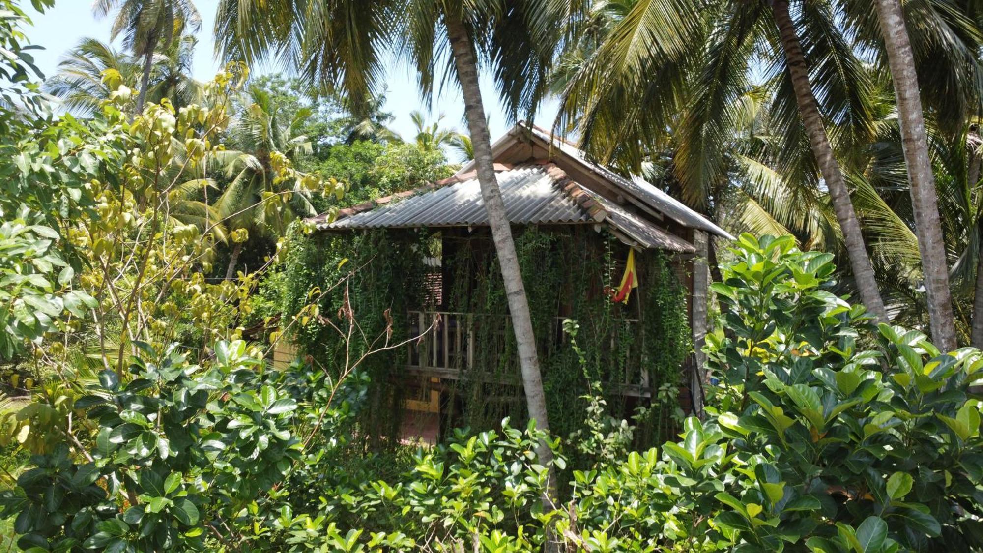 Coconut Island Yala Safari Place Тисамахарама Екстериор снимка